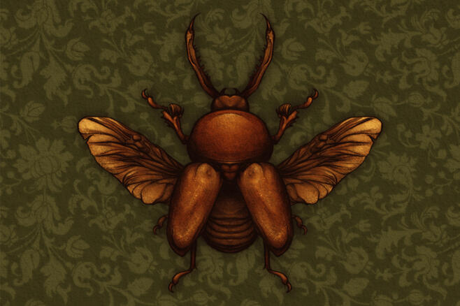 Beetle