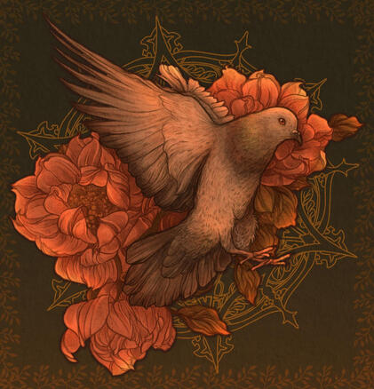 Pigeon