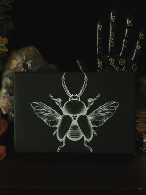 B&W Beetle Canvas